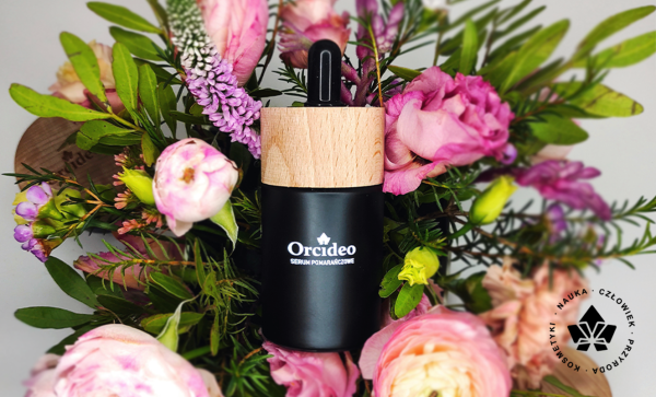 background2.png background2.png