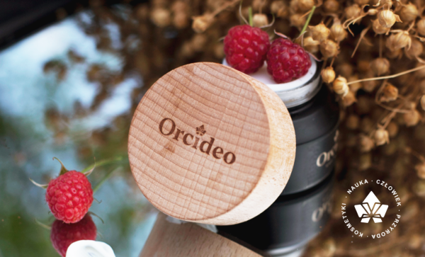 background4.png background4.png